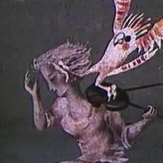 A Variegated Butterfly (1981) DVD