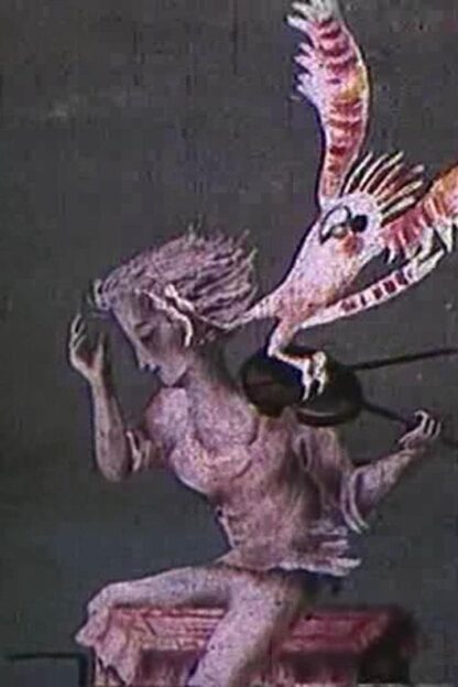 A Variegated Butterfly (1981) DVD