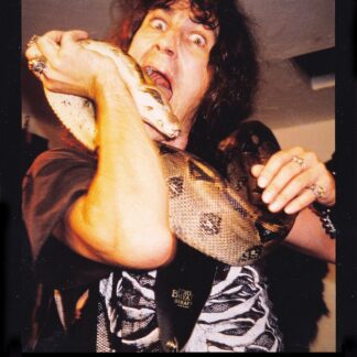 Animalicious (1999) DVD