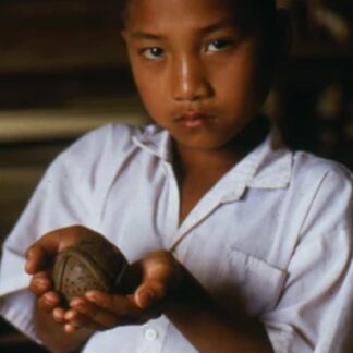 Bombies (2001) DVD