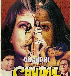 Chandni Bani Chudail (2001) DVD