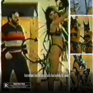 Devil Girls (1987) DVD