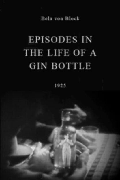 Episodes in the Life of a Gin Bottle (1925) DVD