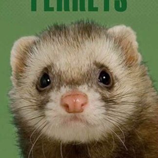 Ferrets (2007) DVD