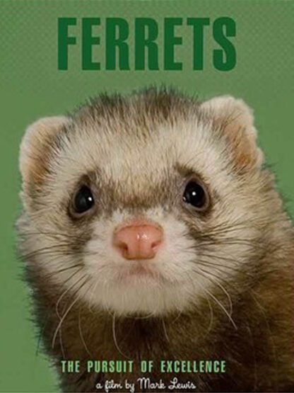 Ferrets (2007) DVD