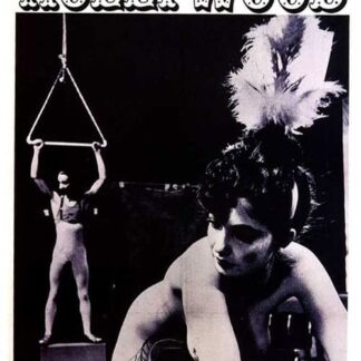 It Happened in Hollywood (1973) DVD