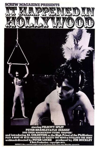 It Happened in Hollywood (1973) DVD