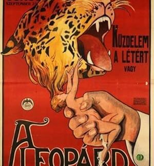 Küzdelem a Létért (1918) DVD