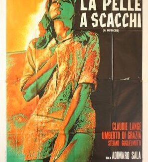 La pelle a scacchi (Il distacco) (1970) DVD