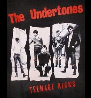 Teenage Kicks: The Undertones (2001) DVD