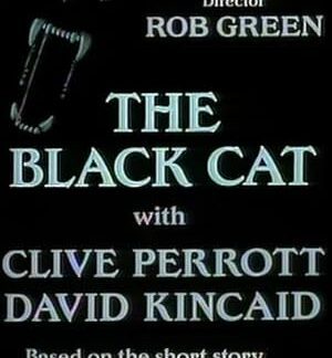The Black Cat (1995) DVD