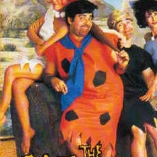 The Flintbones (1992) DVD