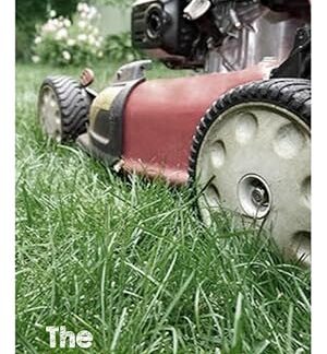The Lawnmower Man (1987) DVD