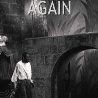 We Work Again (1937) DVD