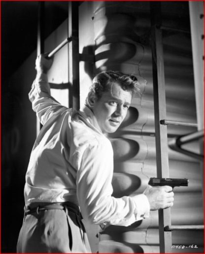 Appointment with Danger (1950) starring Alan Ladd on DVD on DVD