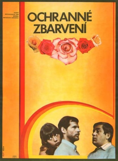 Camouflage (1977) with English Subtitles on DVD