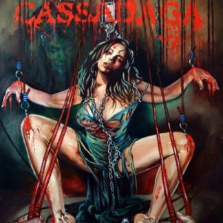 Cassadaga (2011) starring Kelen Coleman on DVD