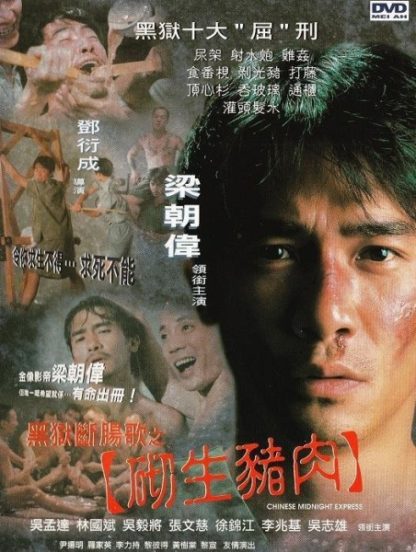 Chinese Midnight Express (1997) with English Subtitles on DVD on DVD