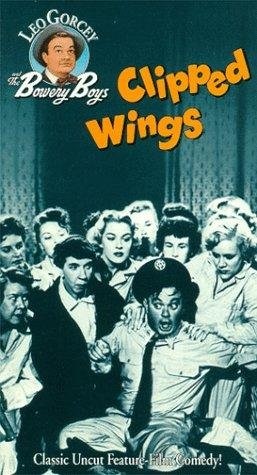 Clipped Wings (1953) starring Leo Gorcey on DVD on DVD