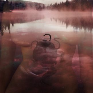 Creature Lake (2015) starring Vanessa Tavares on DVD