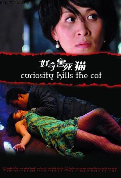 Curiosity Kills the Cat (2006) with English Subtitles on DVD on DVD