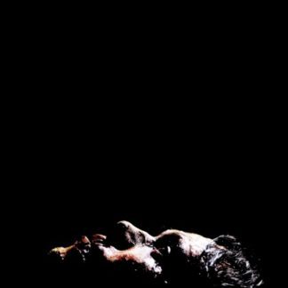 Decay (2015) starring Rob Zabrecky on DVD