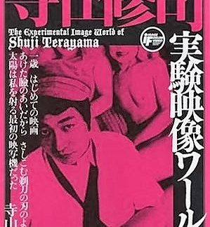 Emperor Tomato Ketchup (1971) with English Subtitles on DVD