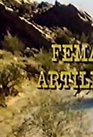 Female Artillery (1973) starring Dennis Weaver on DVD on DVD