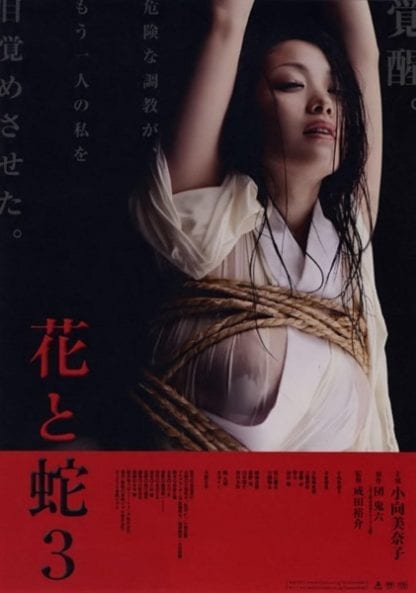 Flower & Snake 3 (2010) with English Subtitles on DVD on DVD