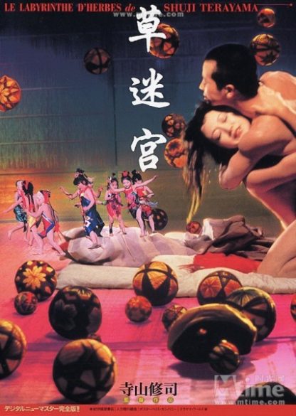 Grass Labyrinth (1979) with English Subtitles on DVD