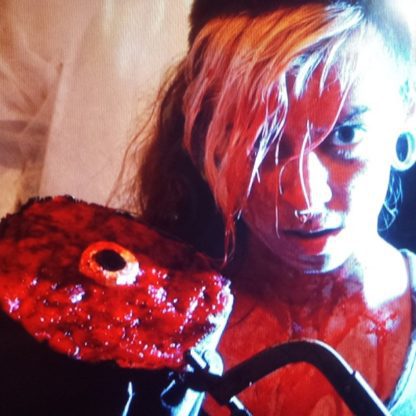 Hooker with a Hacksaw (2017) starring Jason Crowe on DVD
