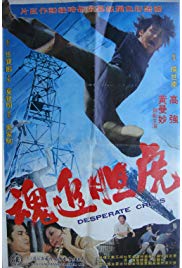 Hu dan zhui hun (1974) with English Subtitles on DVD on DVD