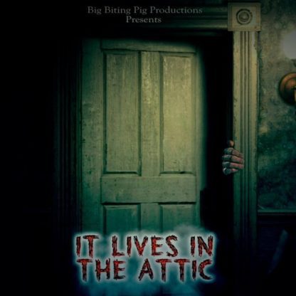 It Lives in the Attic (2016) starring Steve Hudgins on DVD