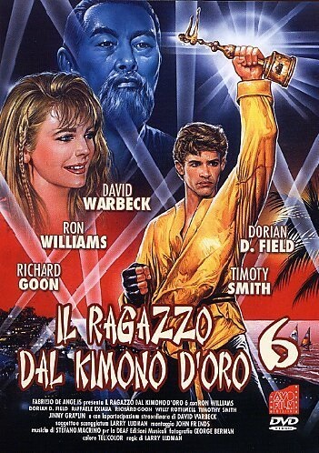Karate Warrior 6 (1993) with English Subtitles on DVD on DVD