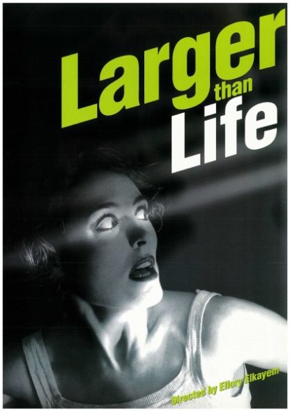 Larger Than Life (1998) starring Rebecca Hobbs on DVD on DVD