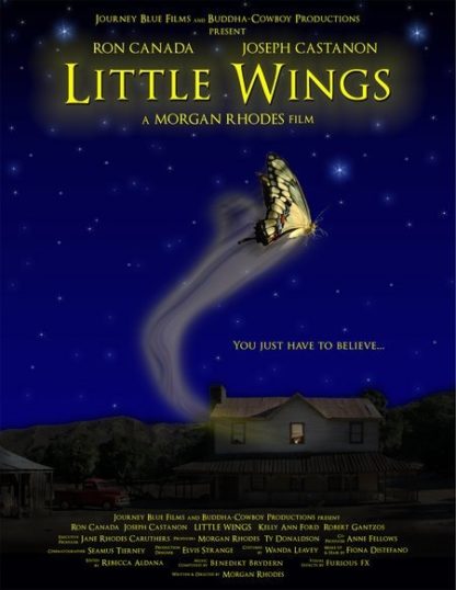 Little Wings (2007) starring Ron Canada on DVD on DVD