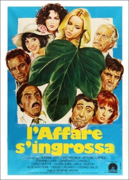 Maschio latino cercasi (1977) with English Subtitles on DVD