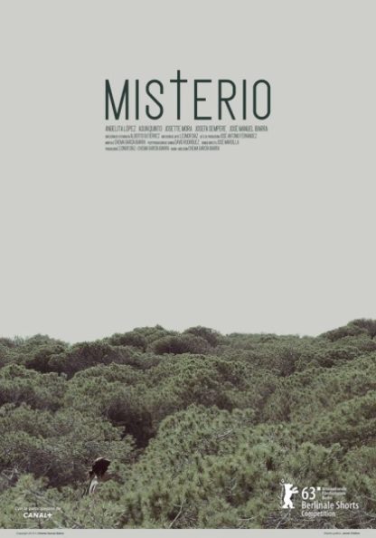Misterio (2013) with English Subtitles on DVD on DVD