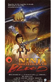 Ninja Knight Brothers of Blood (1988) starring Mike Abbott on DVD on DVD