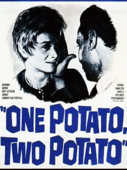 One Potato, Two Potato (1964) starring Barbara Barrie on DVD on DVD