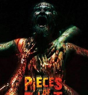 Pieces of Talent (2014) with English Subtitles on DVD
