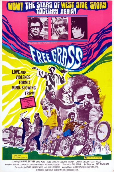 Scream Free! (1969) starring Richard Beymer on DVD on DVD