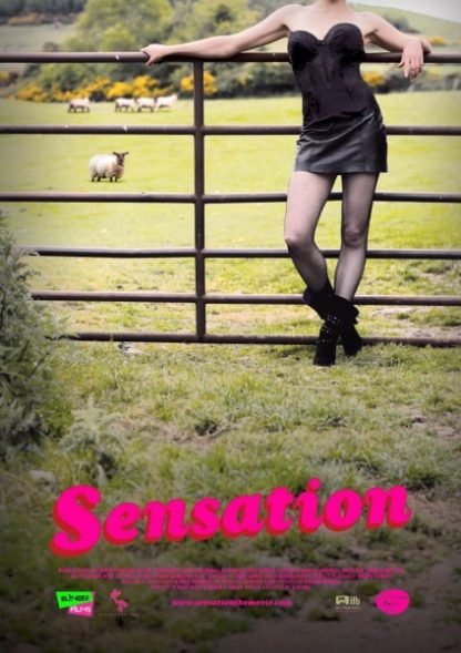 Sensation (2010) starring Domhnall Gleeson on DVD on DVD