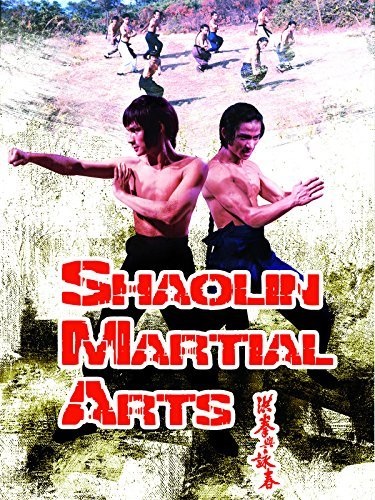 Shaolin Martial Arts (1974) with English Subtitles on DVD on DVD