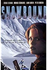 Snowbound (2001) starring Erika Eleniak on DVD on DVD