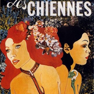 The Bitches (1973) with English Subtitles on DVD