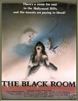The Black Room (1982) starring Stephen Knight on DVD on DVD