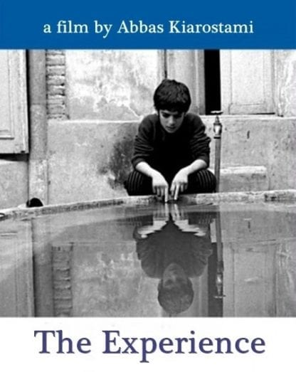 The Experience (1973) with English Subtitles on DVD