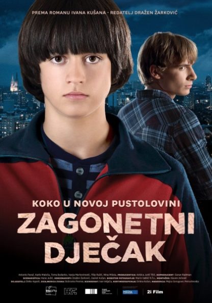 The Mysterious Boy (2013) with English Subtitles on DVD