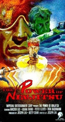 The Power of Ninjitsu (1988) starring Grant Temple on DVD on DVD